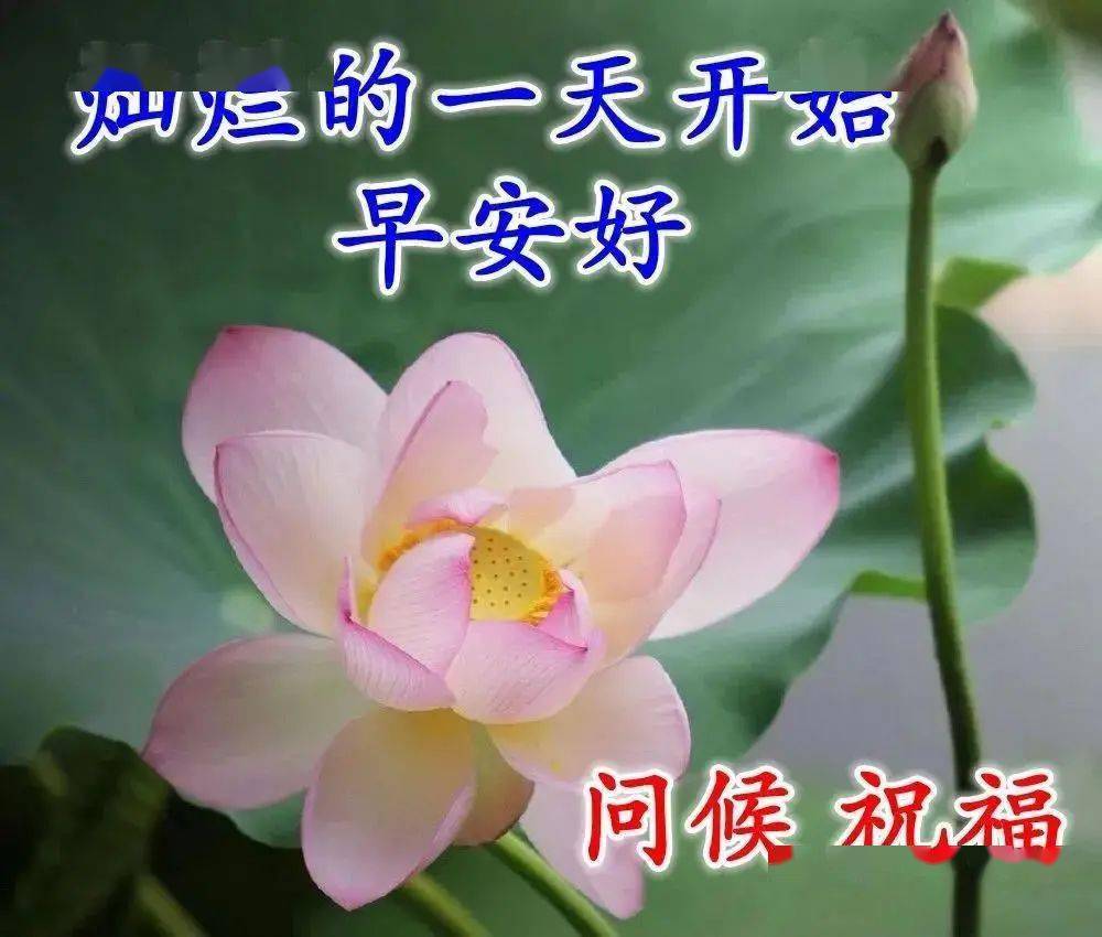 啥叫一心一意 fc716a53c5954955bd3a19334eb8c71b.jpeg