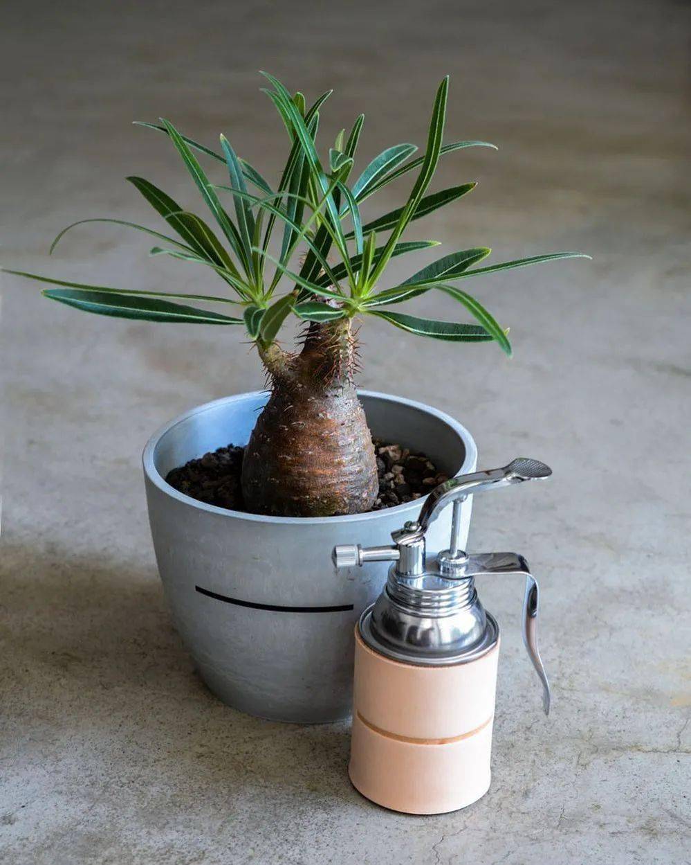 Sacoche|对于 master-piece，你还需要知道两条支线和两位灵魂人物