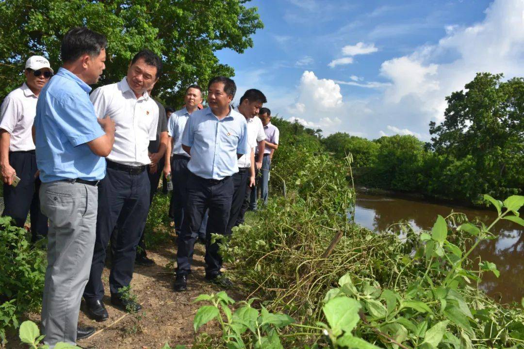 符永丰调研珠溪河河长制工作