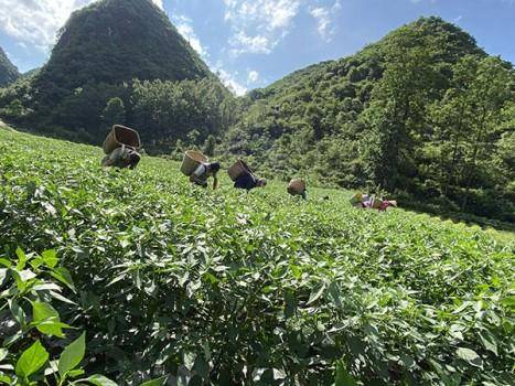 购物|南山婆携手天猫丰收购物节，“百人”吃辣挑战火爆开启