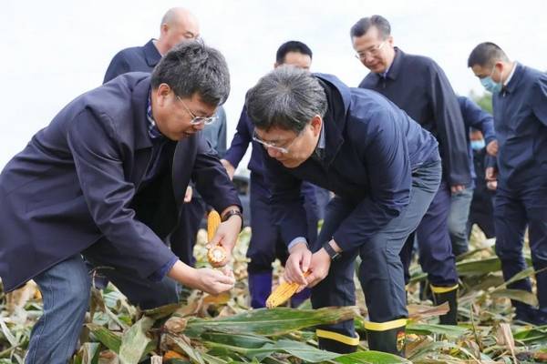 拉林镇人口_人口普查图片