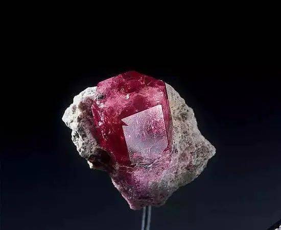 摩根|杨杨：都是3个孩子的妈了，还这么少女？凯特王妃的冻龄秘密是…