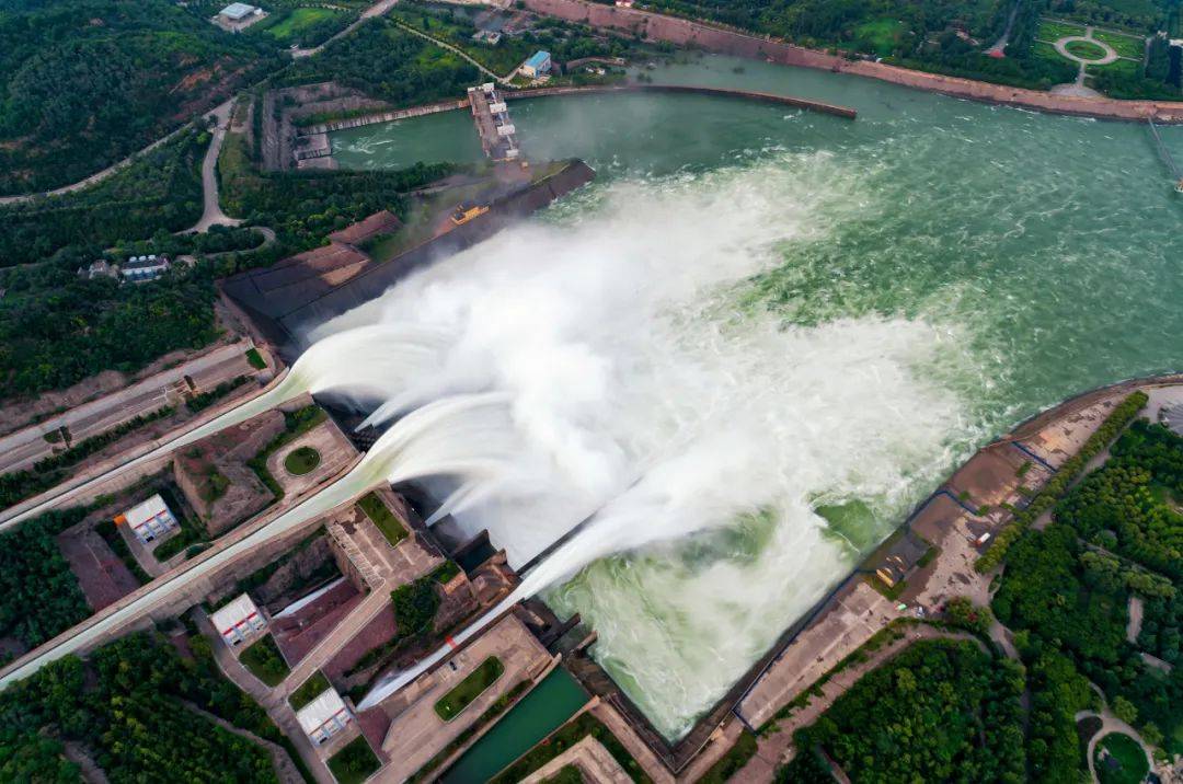 中国|河南，中！