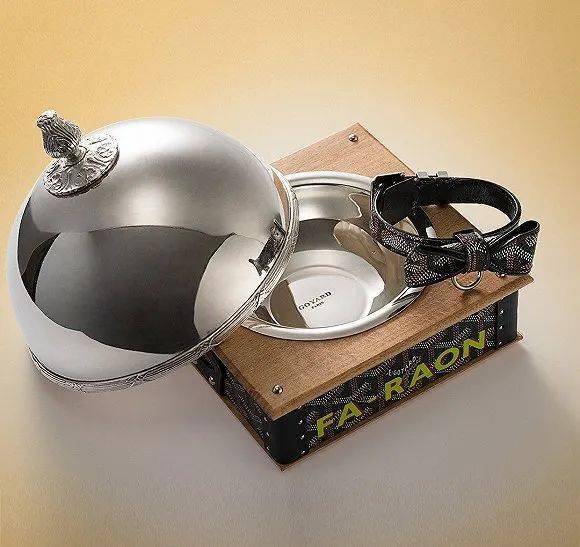 宠物|萌宠时尚｜毛孩子们时髦起来一点也不输主人！