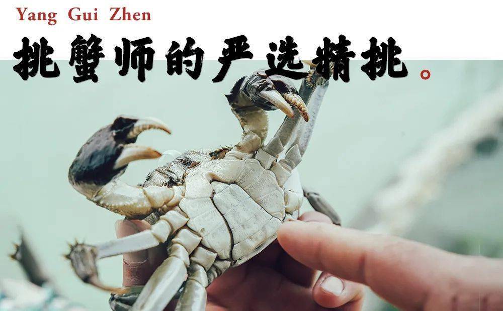 什么是世界上最快的东西 31eb5e2857b046c6a6884209f4ef84d5.jpeg