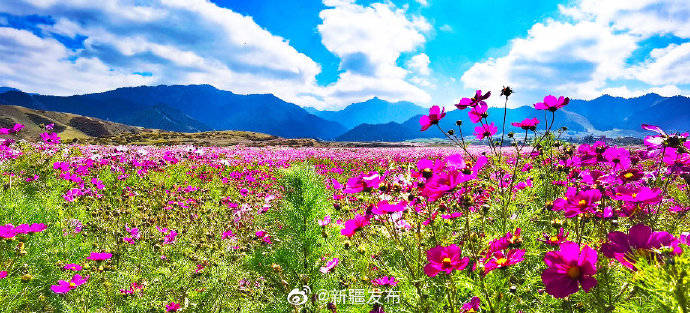 b586cbaf5f474e058cac977209097f88.jpeg