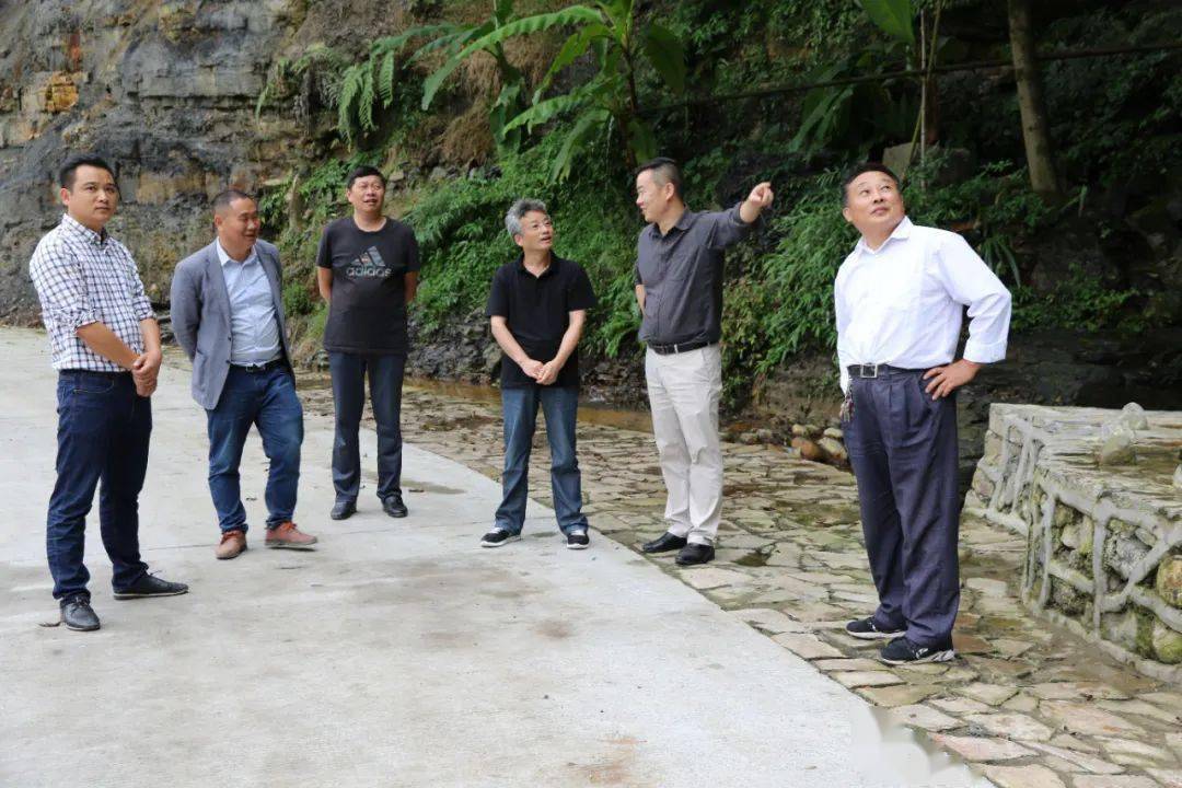田大甲调研"代表行动"开展情况