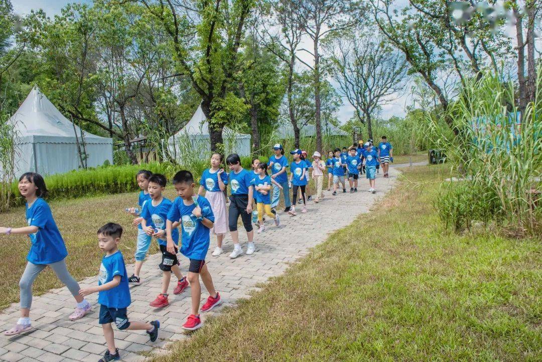 夏令营|回忆杀｜这个夏天，你在卓越夏令营留下了最灿烂的笑容