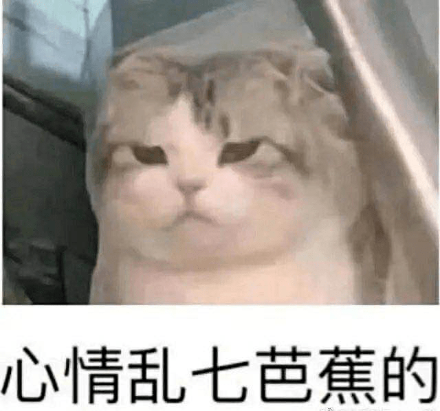 考试|四六级考试刚结束就冲上热搜！这道题把人“烤”“醉”了......