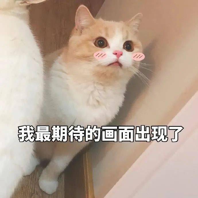 活动|终于等到这场线上博饼！厦门人一定不能错过！博状元，得好礼！