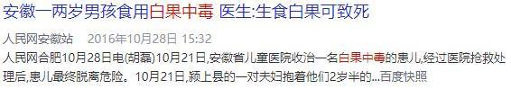 白果|曾有孩子因此丧命扩散！别碰路边这种果子！多地有人中招