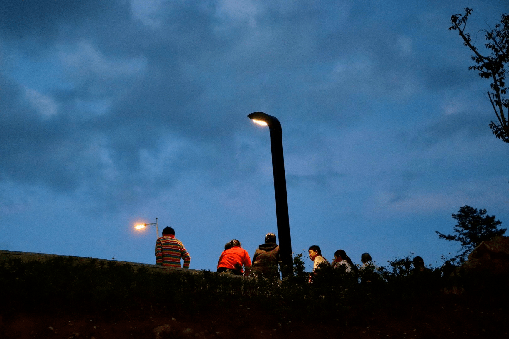 公司|澎友圈周报｜大学生骂外卖员底层猪，“同性恋是病”你认可吗