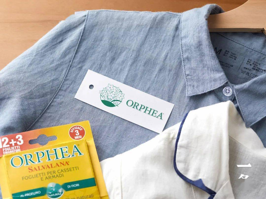 高手|这么香的小东西，竟然是除虫高手！？