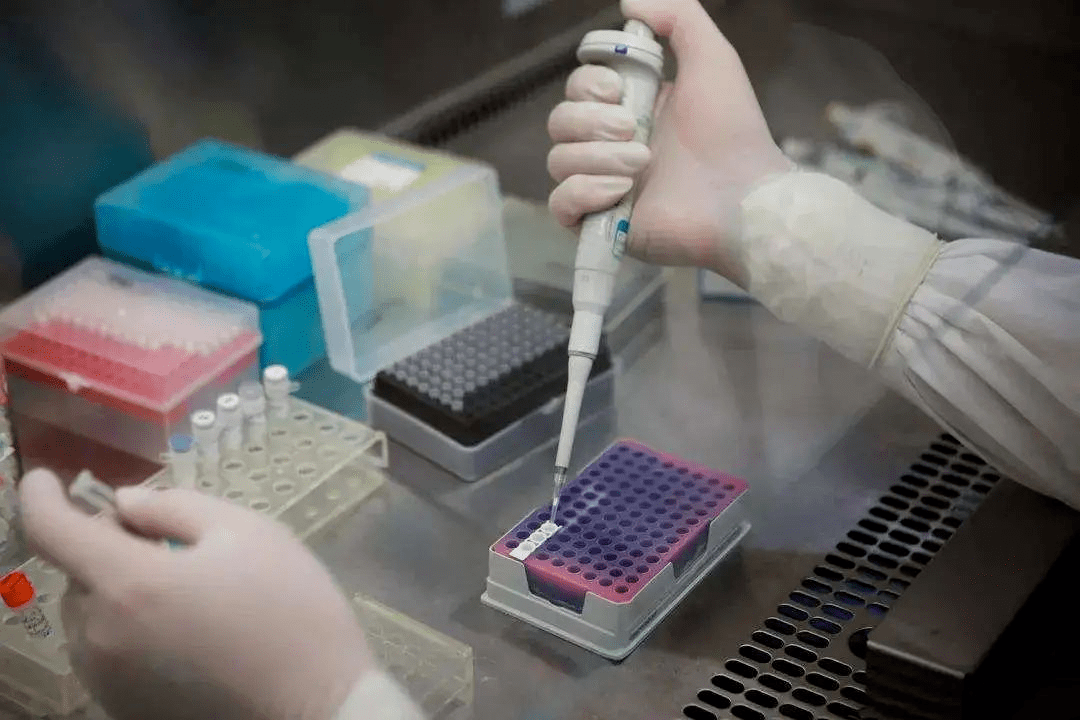 核酸检测增加GDP_做核酸检测反而会增加(2)