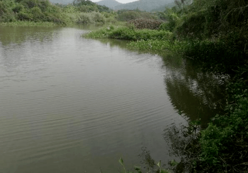 鱼儿|秋季野钓纠结选位？看完这篇就不纠结了