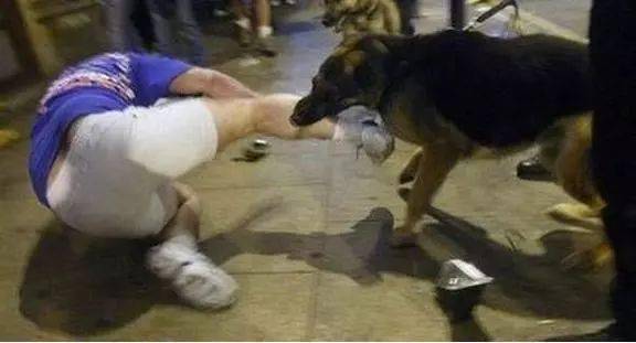人拿着棒子打在水里的狗猜一成语_一棒子打死猪的gif图
