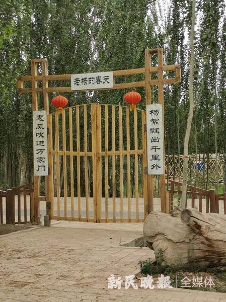 老杨的春天