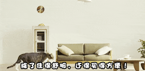 观点评论|天猫家装的本地化营销战事