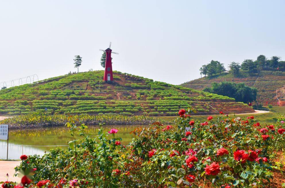 景区提档升级！新增多个网红打卡点！肇庆正推进全域旅游发展封开县 4134