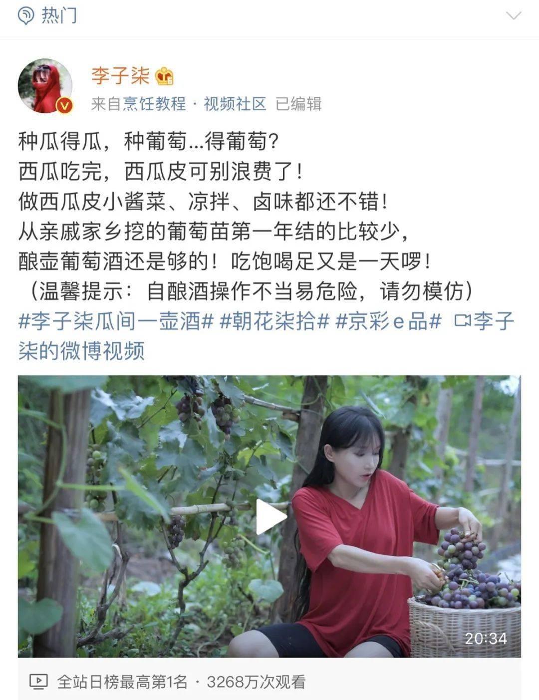 葡萄|可能不是美酒是“毒药”惊！李子柒的自酿葡萄酒