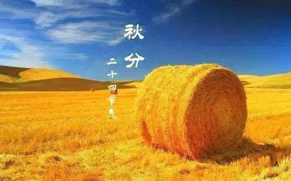 a26a22f22bb9460b843ce46980646ffe.jpeg