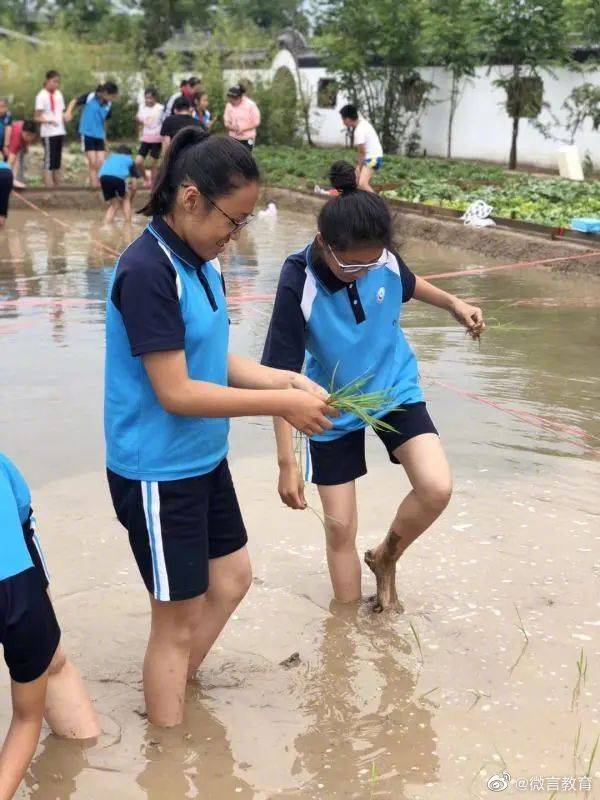 北京市|学校喊你来“种地”！让孩子走向田间地头