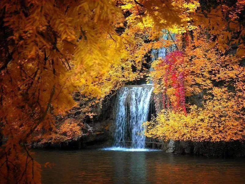 【世说】 | 摄影图片:分享一组秋色美景