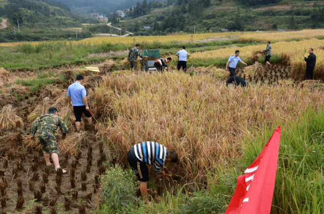 水寨大布村人口_新密市良水寨村(2)