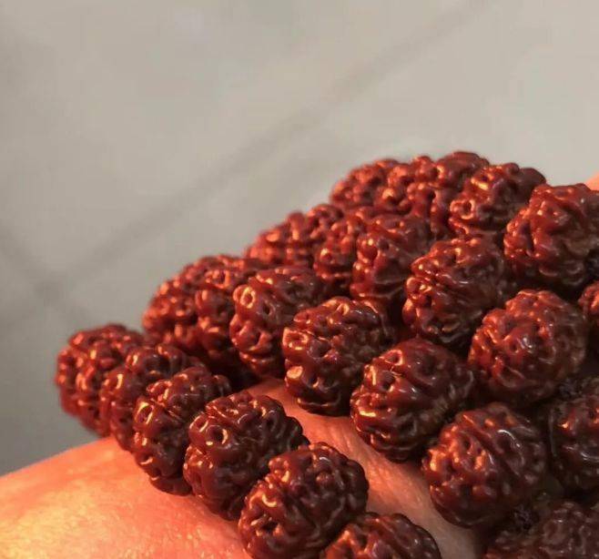 金刚|金刚菩提有剧毒，盘玩过多居然会...