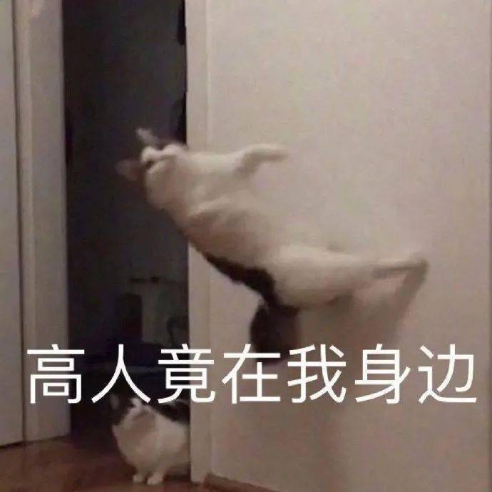 生姜|自用真爱高光