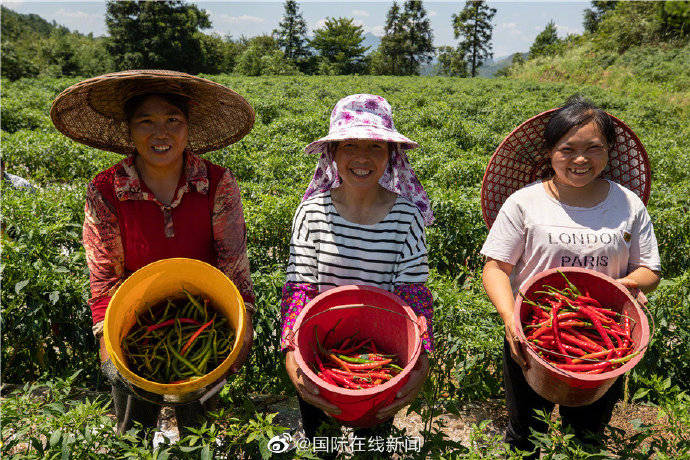 攻坚|【脱贫攻坚·小康路】从田间地头到百姓餐桌 农村电商助力脱贫攻坚