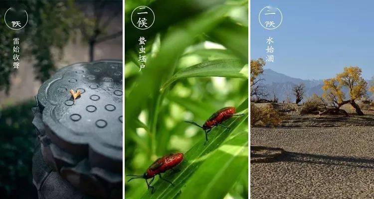 中国古代将立秋分为三候: 一候雷始收声, 二候蛰虫坯户,三候水始涸.