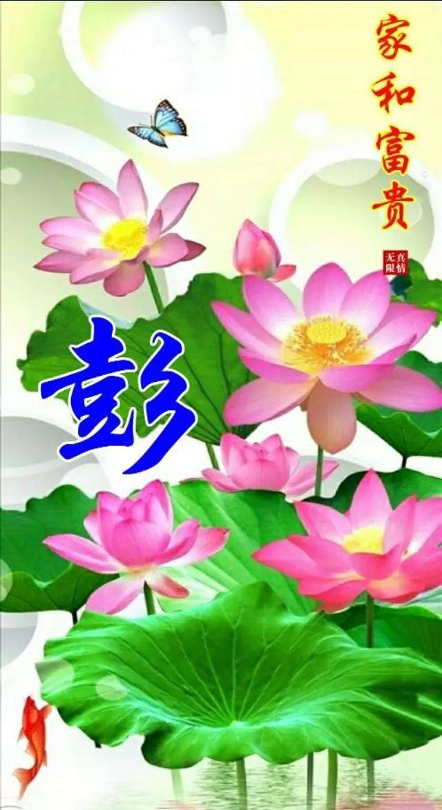 荷塘图片壁纸 52533adf6237484c8a26cb21600b15b5.jpeg