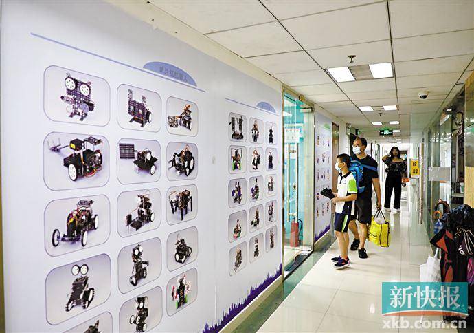 编程|学编程要从娃娃抓起 VS 太早学习可能起反作用