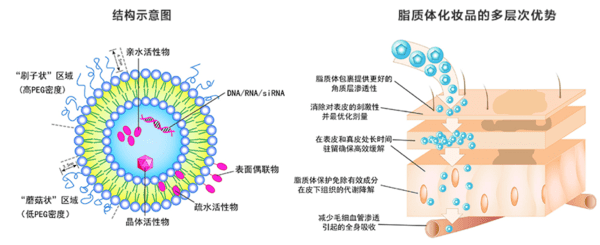 皮肤|翻红女星这都几年没接戏了，还敢这么浪呢？