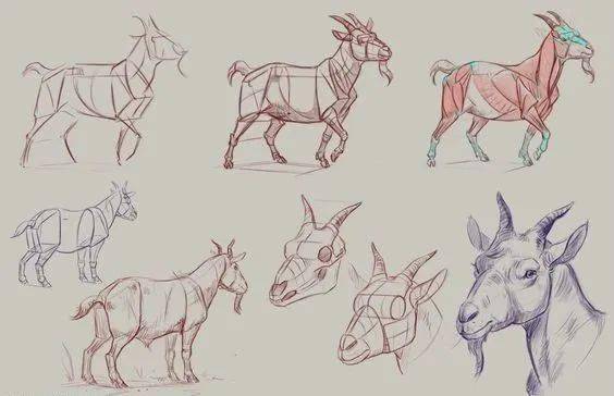 ‘ky.com’
仿生造型设计仅仅是对自然生物的简朴模拟吗？「手绘530Day」(图3)