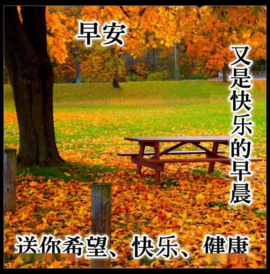 唯美的秋天风景枫叶早上好图片温馨带字 漂亮秋天枫叶早安问候图片