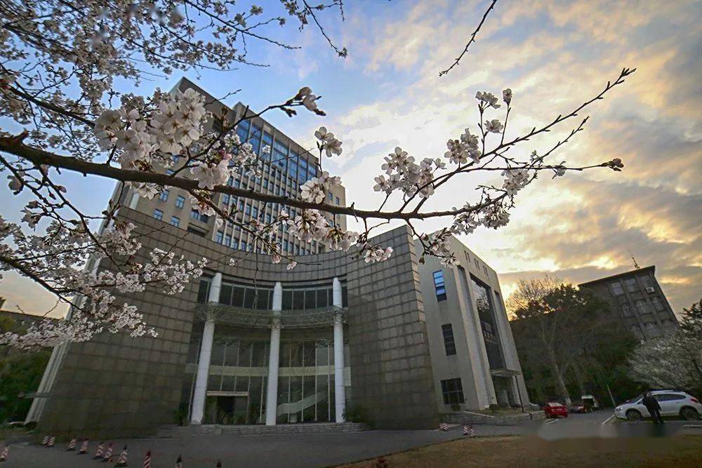 包围|被热干面包围的“公交车”:武汉理工大学