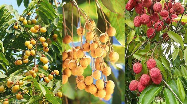 图片|说出来你可能不信,让鬼见愁的可能是洗手液