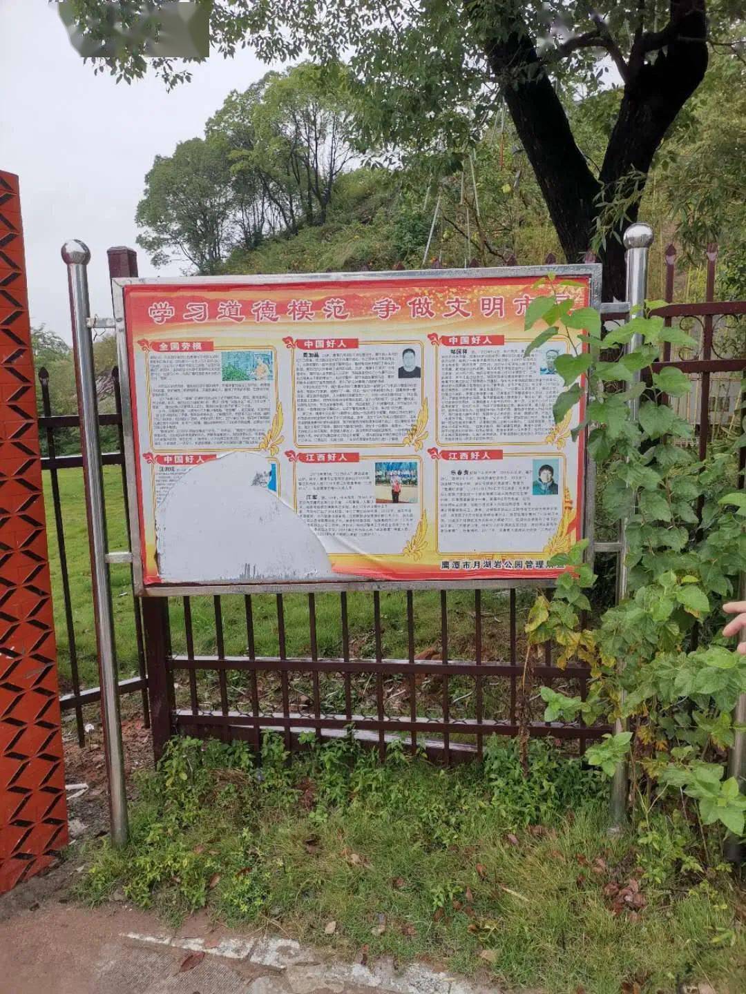 鹰潭白露街道GDP_白露节气图片