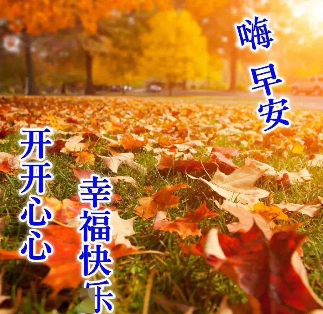 唯美的秋天风景枫叶早上好图片温馨带字 漂亮秋天枫叶