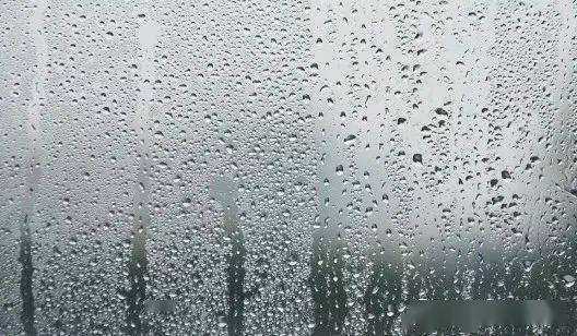 啥是海洋板 b036e4ce1ee6474091d33eeb991301c4.jpeg