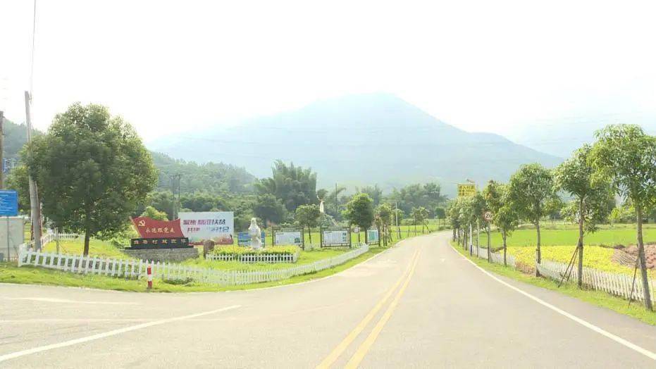 惠东这个小山村火了!_横江村