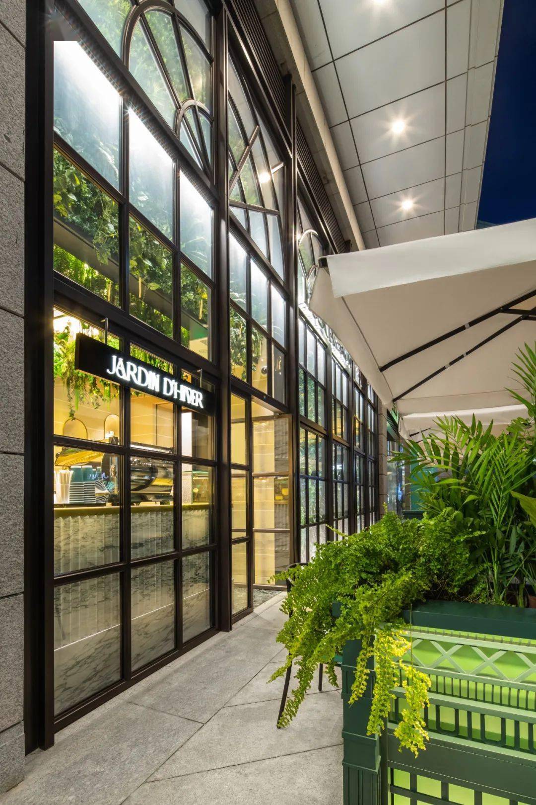 猫咪|戳进来 | 让周冬雨倾情献声的猫咪，原来如此高贵！