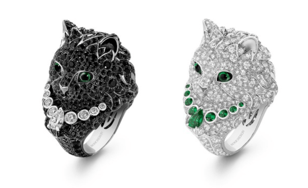 猫咪|戳进来 | 让周冬雨倾情献声的猫咪，原来如此高贵！