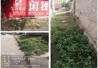 黑树人口_人口普查(2)