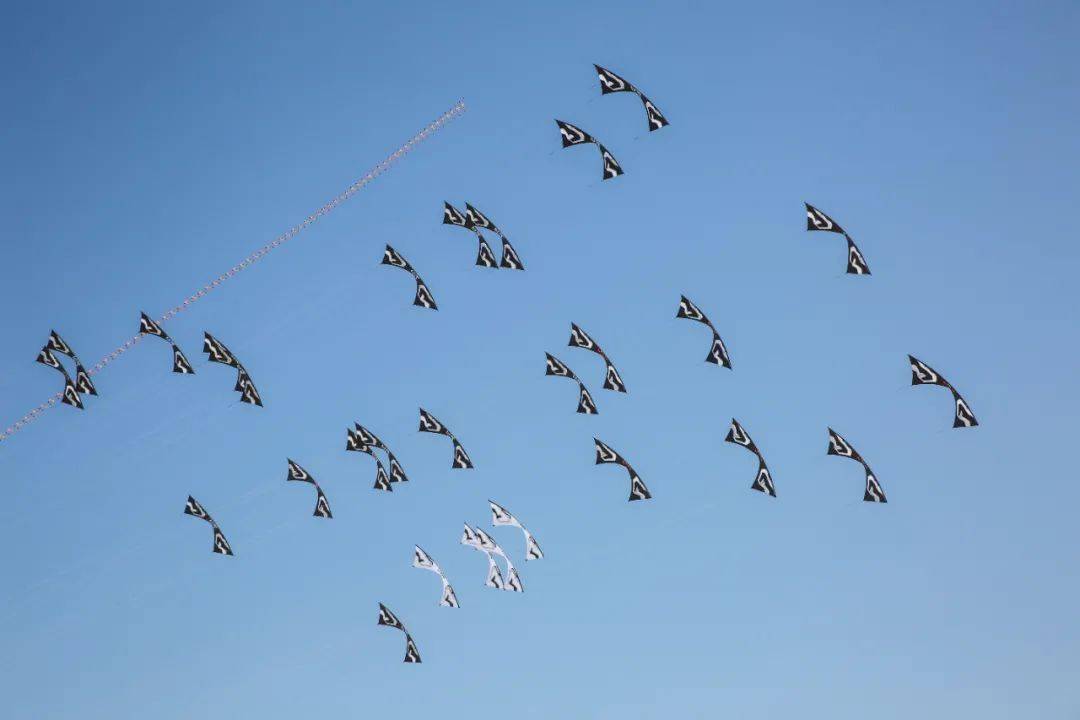 人怎么才能飞上天 74505f219bc340c6bb101e0273302f50.jpeg