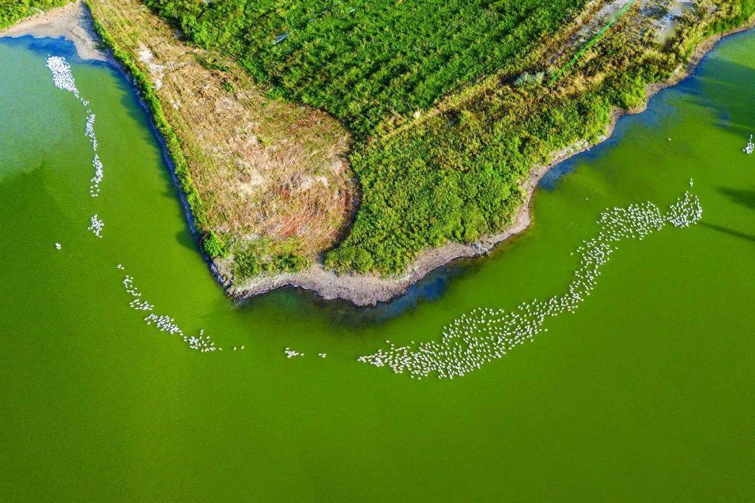 海努克人口_海努克乡中心校