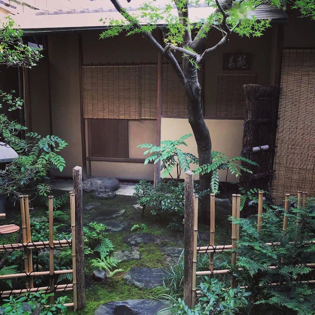 在日本,喝茶只是为了解渴吗?搜狐大视野搜狐新闻