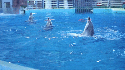 十一假期,来一场说走就走的旅行,698元体验罗源湾海底